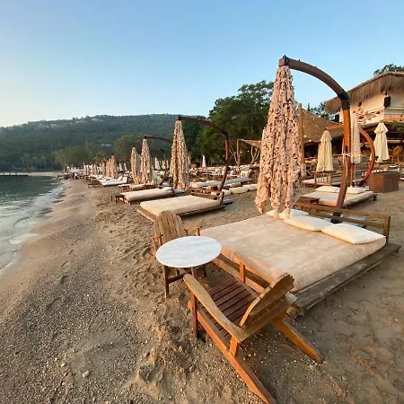 Hotel Doc's Boutique 4*